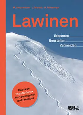 Mersch / Fleischmann / Mittermayer |  Lawinen | Buch |  Sack Fachmedien