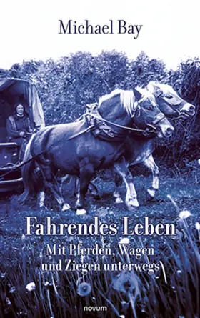 Bay |  Fahrendes Leben | Buch |  Sack Fachmedien