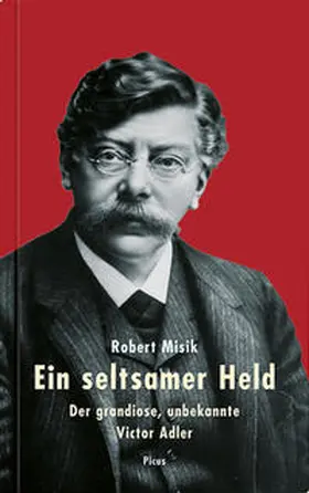 Misik |  Ein seltsamer Held | Buch |  Sack Fachmedien