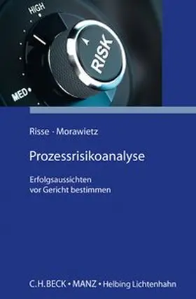 Risse / Morawietz |  Prozessrisikoanalyse | Buch |  Sack Fachmedien