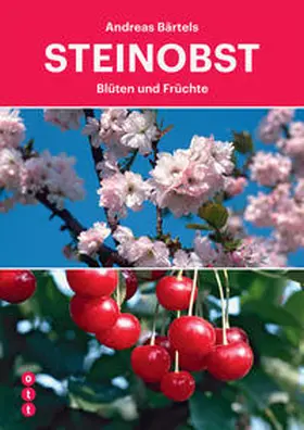 Bärtels |  Steinobst | Buch |  Sack Fachmedien