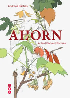 Bärtels |  Ahorn | Buch |  Sack Fachmedien