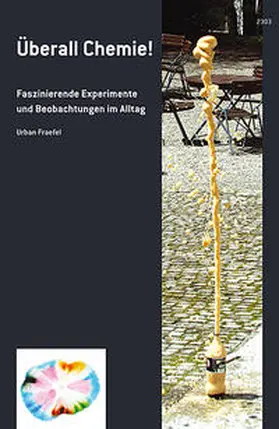 Fraefel |  Überall Chemie! | Buch |  Sack Fachmedien