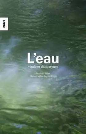Plüss |  L'eau - vitale et dangereuse | Buch |  Sack Fachmedien