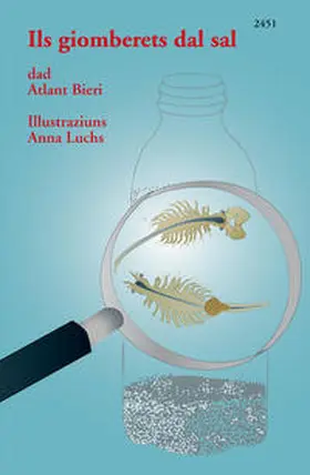 Bieri |  Ils giomberets dal sal | Buch |  Sack Fachmedien