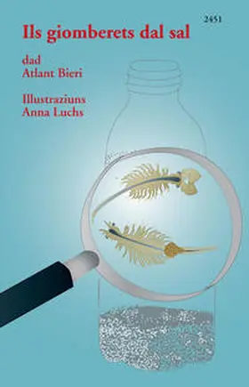 Bieri |  Ils giomberets dal sal | Buch |  Sack Fachmedien