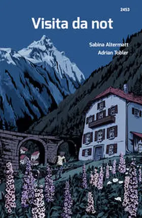 Altermatt |  Visita da not | Buch |  Sack Fachmedien