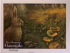 Bergmann |  Hasenjahr | Buch |  Sack Fachmedien