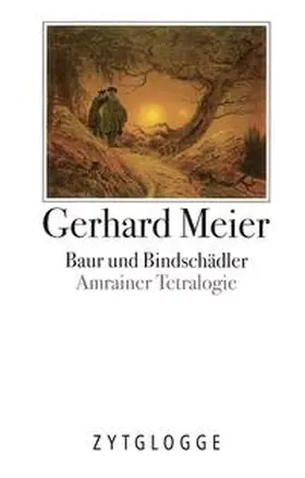 Meier |  Werke Band 3 | Buch |  Sack Fachmedien