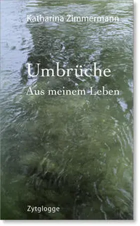 Zimmermann |  Umbrüche | Buch |  Sack Fachmedien