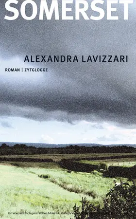 Lavizzari |  Somerset | eBook | Sack Fachmedien