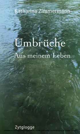 Zimmermann |  Umbrüche | eBook | Sack Fachmedien