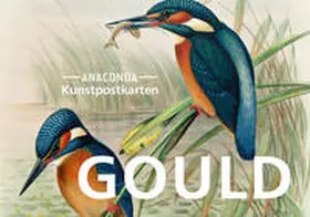  Postkarten-Set John Gould | Buch |  Sack Fachmedien