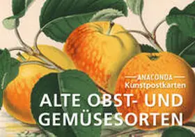 Anaconda Verlag |  Postkarten-Set Alte Obst- und Gemüsesorten | Buch |  Sack Fachmedien