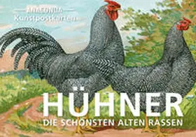 Anaconda Verlag |  Postkarten-Set Hühner | Buch |  Sack Fachmedien