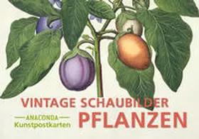  Postkarten-Set Vintage-Schaubilder Pflanzen | Buch |  Sack Fachmedien