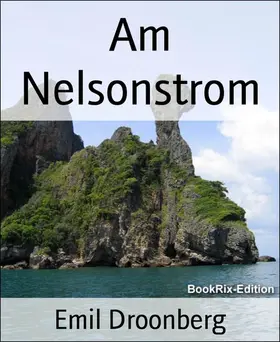 Droonberg |  Am Nelsonstrom | eBook | Sack Fachmedien