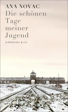 Novac |  Die schönen Tage meiner Jugend | eBook | Sack Fachmedien