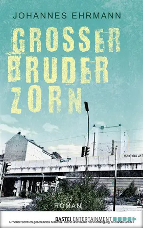 Ehrmann |  Großer Bruder Zorn | eBook | Sack Fachmedien