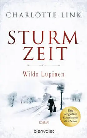 Link | Sturmzeit - Wilde Lupinen | Buch | 978-3-7341-0601-9 | sack.de