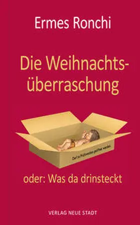 Ronchi |  Die Weihnachtsüberraschung | Buch |  Sack Fachmedien