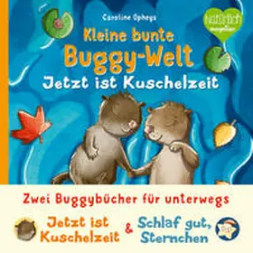  Kleine bunte Buggy-Welt - Jetzt ist Kuschelzeit & Schlaf gut, Sternchen | Buch |  Sack Fachmedien