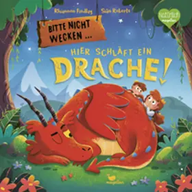 Findlay |  Bitte nicht wecken ... Hier schläft ein Drache! | Buch |  Sack Fachmedien