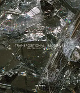 Mikloweit |  Transpositional Geologies | Buch |  Sack Fachmedien