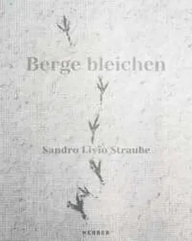 Deutsch, Englisch, Rätoromanisch und Schweizerdeutsch |  Sandro Livio Straube | Buch |  Sack Fachmedien