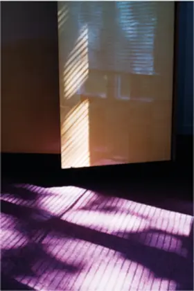  STATES OF UNCERTAIN DOMESTICITIES | Buch |  Sack Fachmedien