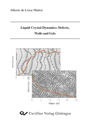 zar Mu&#xF1 / oz |  Liquid Crystal Dynamics: Defects, Walls and Gels | eBook | Sack Fachmedien