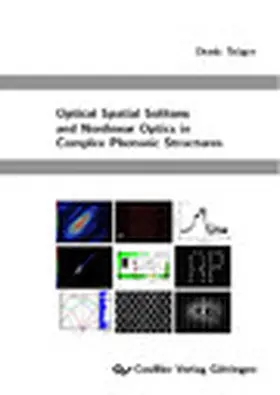 Denis Trä / ger |  Optical Spatial Solitons and Nonlinear Optics in Complex Photonic Structures | eBook | Sack Fachmedien