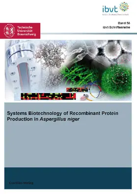 Driouch |  Systems Biotechnology of Recombinant Protein Production in Aspergillus niger | eBook | Sack Fachmedien