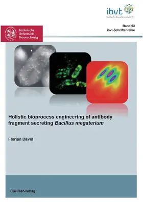 David |  Holistic bioprocess engineering of antibody fragment secreting Bacillus megaterium | eBook | Sack Fachmedien