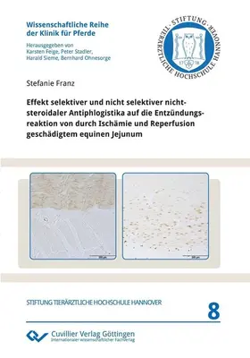 Franz |  Effekt selektiver und nicht selektiver nichtsteroidaler Antiphlogistika auf die Entzündungsreaktion von durch Ischämie und Reperfusion geschädigtem equinen Jejunum | eBook | Sack Fachmedien