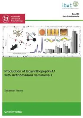 Tesche |  Production of labyrinthopeptin A1 with Actinomadura namibiensis | Buch |  Sack Fachmedien