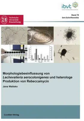 Walisko |  Morphologiebeeinflussung von Lechevalieria aerocolonigenes und heterologe Produktion von Rebeccamycin | eBook | Sack Fachmedien