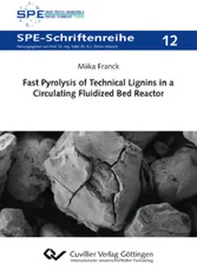 Franck |  Fast Pyrolysis of Technical Lignins in a Circulating Fluidized Bed Reactor | eBook | Sack Fachmedien