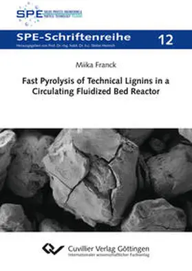 Franck |  Fast Pyrolysis of Technical Lignins in a Circulating Fluidized Bed Reactor | Buch |  Sack Fachmedien