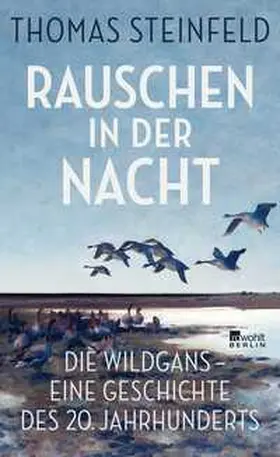 Steinfeld |  Rauschen in der Nacht | Buch |  Sack Fachmedien