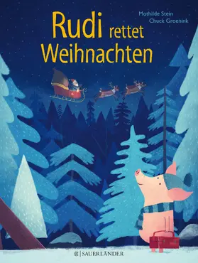 Stein |  Rudi rettet Weihnachten | Buch |  Sack Fachmedien
