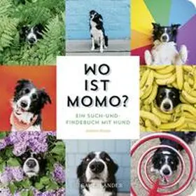 Knapp |  Wo ist Momo? | Buch |  Sack Fachmedien