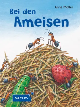  Bei den Ameisen | Buch |  Sack Fachmedien