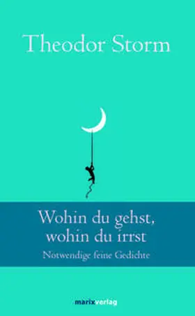 Storm |  Wohin du gehst, wohin du irrst | Buch |  Sack Fachmedien