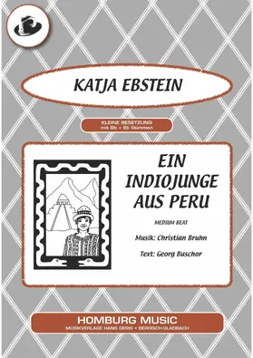 Bruhn / Buschor / Ebstein |  Ein Indiojunge aus Peru | eBook | Sack Fachmedien