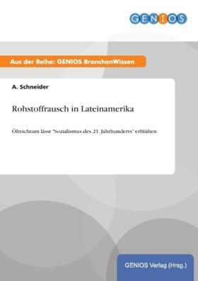 Schneider | Rohstoffrausch in Lateinamerika | Buch | 978-3-7379-4810-4 | www2.sack.de