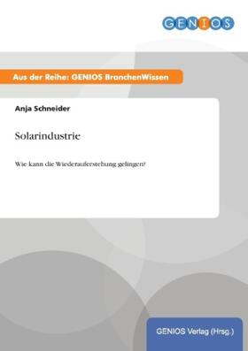 Schneider | Solarindustrie | Buch | 978-3-7379-4844-9 | www2.sack.de