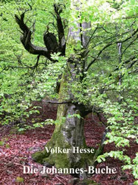 Hesse |  Die Johannes-Buche | eBook | Sack Fachmedien