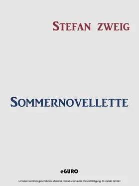 Zweig / Verlag |  Sommernovellette | eBook | Sack Fachmedien