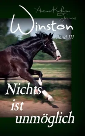 Tessnow |  Winston - Nichts ist unmöglich | Buch |  Sack Fachmedien